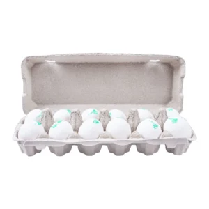 Golden Egg Omega + DHA Eggs, 12-Pack