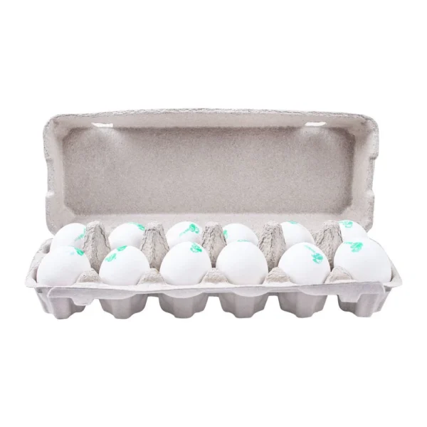 Golden Egg Omega + DHA Eggs, 12-Pack