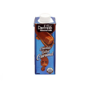 Dayfresh Chocolate Salted Caramel Milk, 225ml