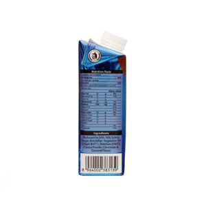 Dayfresh Chocolate Salted Caramel Milk, 225ml