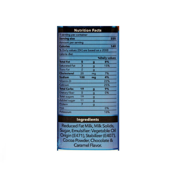 Dayfresh Chocolate Salted Caramel Milk, 225ml