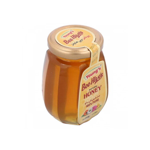 Youngs Bee Hives Natural Honey 250g