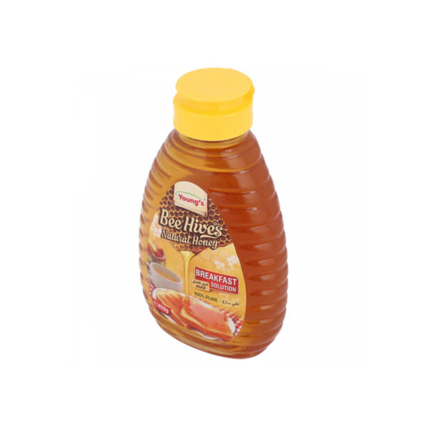Youngs Bee Hives Natural Honey 450g
